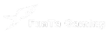 Funta Gaming